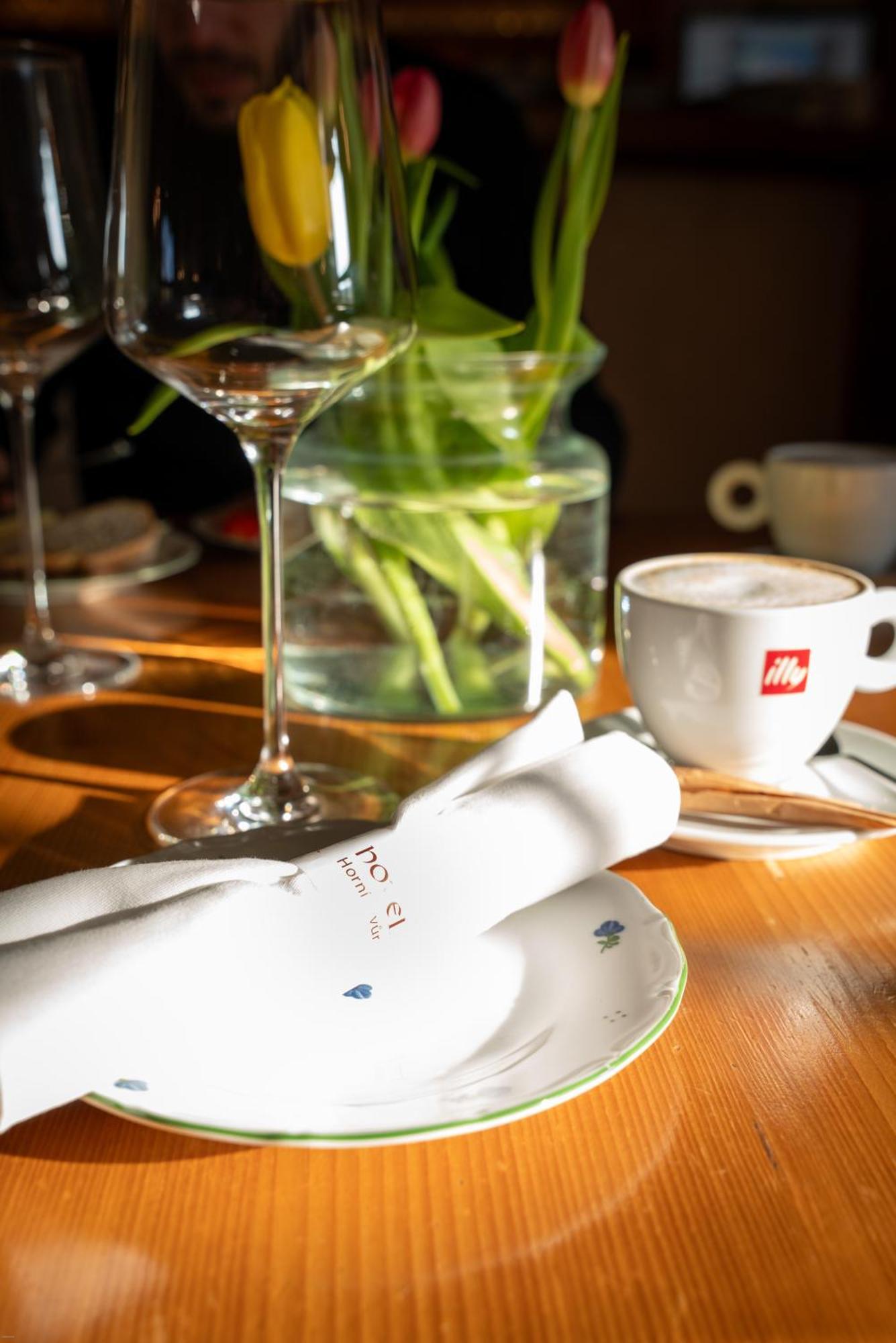 Hotel Horni Dvur Нове-Место-на-Мораве Экстерьер фото